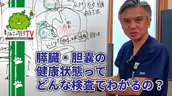 りんごの樹TV 『膵臓・胆嚢の健康状態ってどんな検査でわかるの？|りんごの樹動物病院