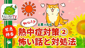 りんごの樹TV 緊急特番‼️『熱中症対策② 怖い話と対処法』|りんごの樹動物病院