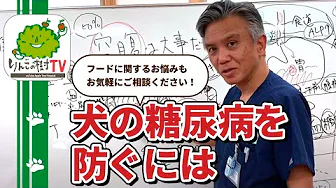 『犬の糖尿病を防ぐには』|りんごの樹動物病院