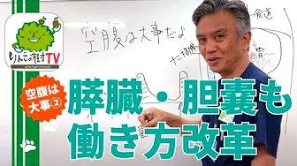 『空腹は大事② 胆嚢・膵臓も働き方改革⁉︎』|りんごの樹動物病院