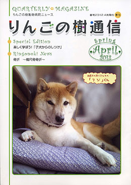 りんごの樹動物病院
