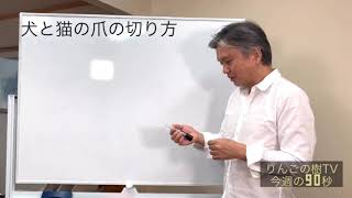 今週の90秒 犬と猫の爪の切り方　りんごの樹動物病院|りんごの樹動物病院