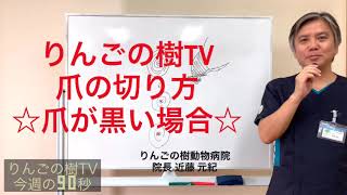 今週の90秒 犬と猫の爪の切り方 ☆爪が黒い場合☆ りんごの樹動物病院|りんごの樹動物病院