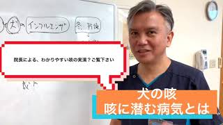 犬の咳　咳に潜む病気とは|りんごの樹動物病院