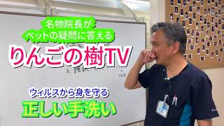 ウィルスから身を守る　正しい手洗い|りんごの樹動物病院