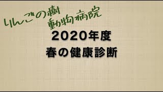 2020年度春の健康診断のご案内|りんごの樹動物病院