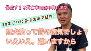 狂犬病って昔の病気でしょ？いえいえ。違いますから。|りんごの樹動物病院