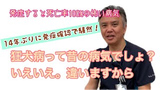 狂犬病って昔の病気でしょ？いえいえ。違いますから。|りんごの樹動物病院