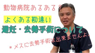 よくある勘違い。避妊・去勢手術について。|りんごの樹動物病院