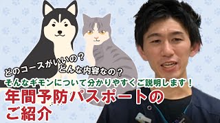 予防パスポート（2021）|りんごの樹動物病院