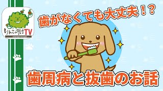 【犬の歯】歯周病と抜歯のお話|りんごの樹動物病院