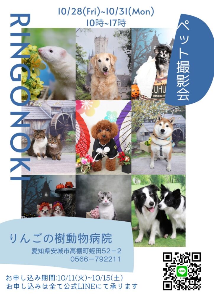 開催予告！！　秋のペット撮影会開催　10月28日（金）～31日（月）|りんごの樹動物病院