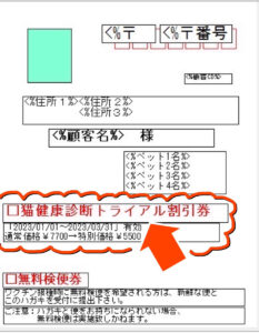 猫ちゃん健康診断トライアルコースが出来ました！！|りんごの樹動物病院