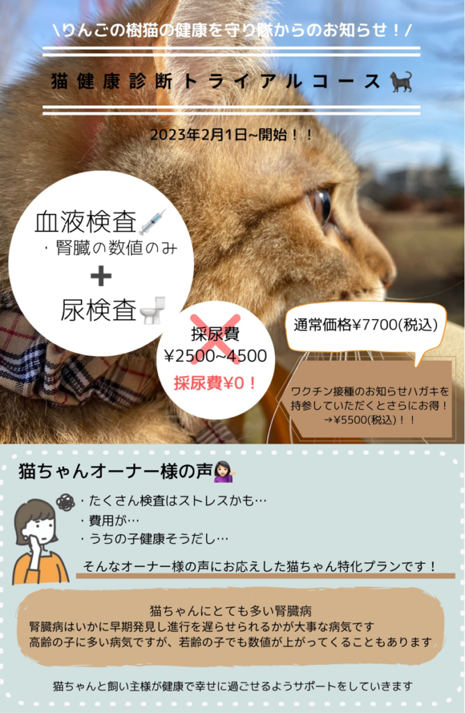 猫ちゃん健康診断トライアルコースが出来ました！！|りんごの樹動物病院