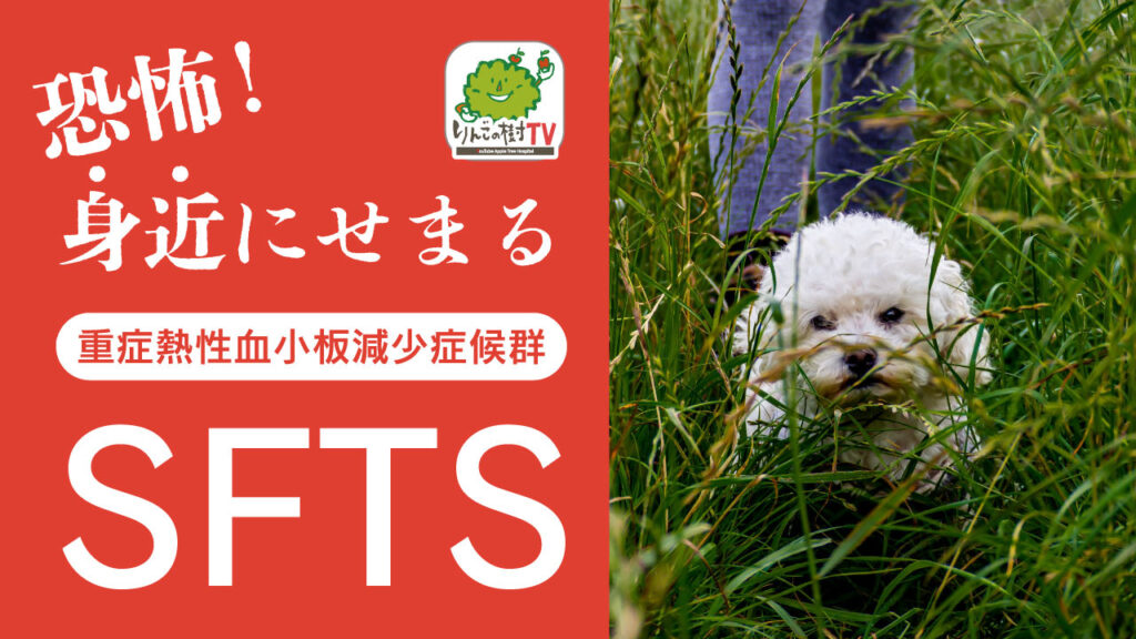 【恐怖！身近に迫る「SFTS」】獣医師解説　|りんごの樹動物病院