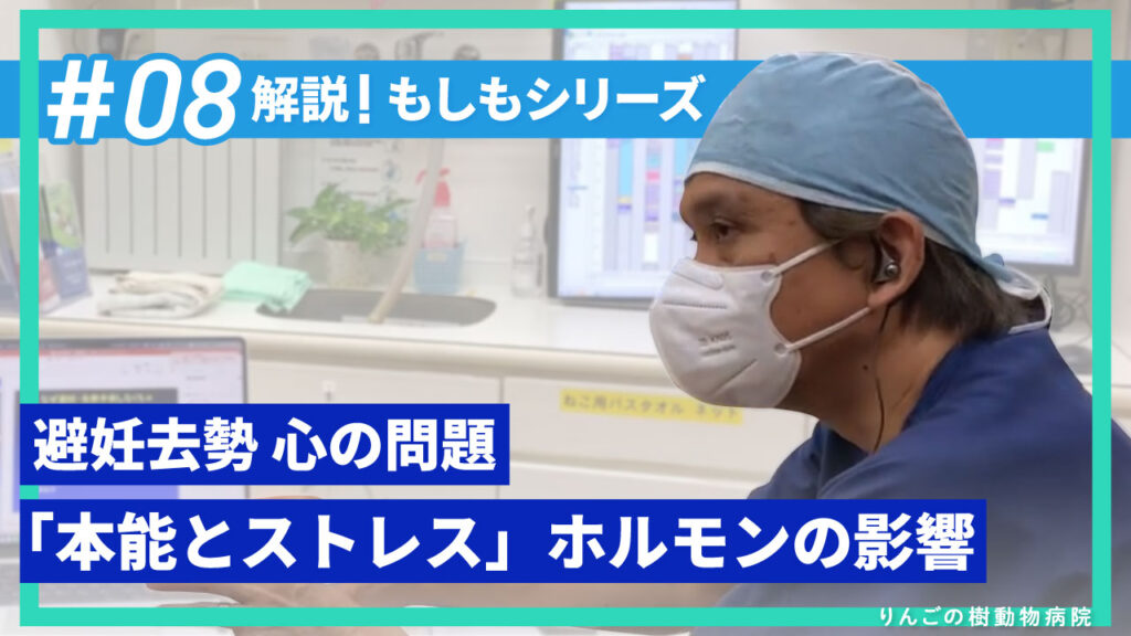 わんちゃんねこちゃんの心の問題「本能とストレス」ホルモンの影響と避妊去勢手術のメリット|りんごの樹動物病院