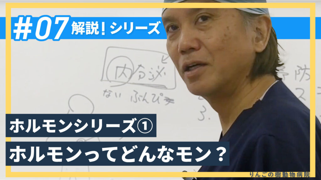 ホルモンシリーズ➀ホルモンってどんなモン？|りんごの樹動物病院