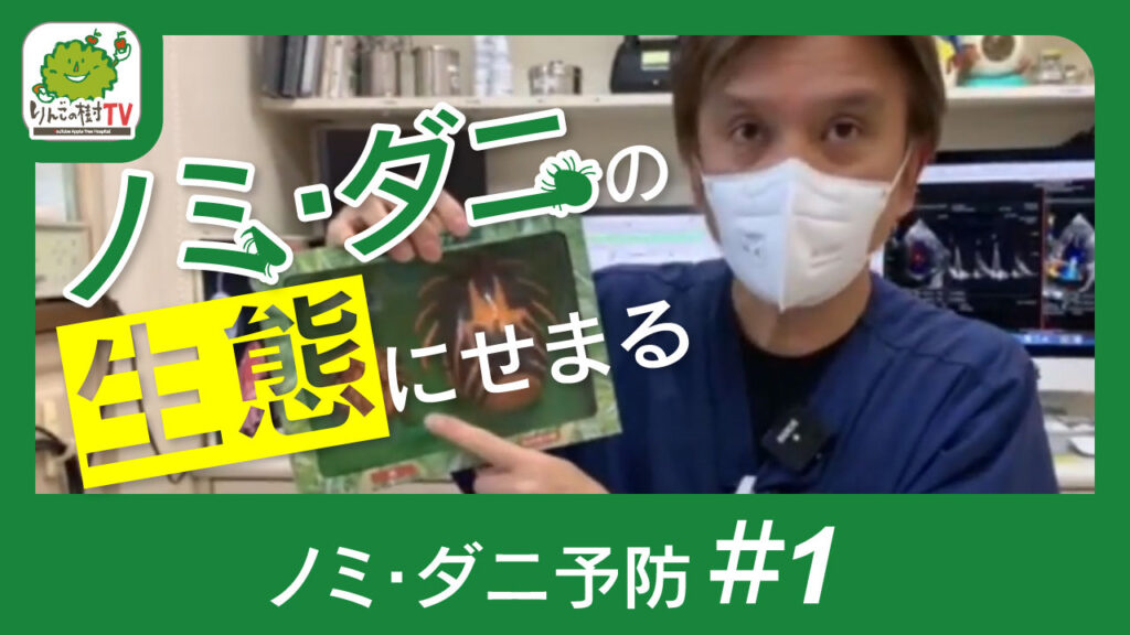 【ノミダニ予防①ノミダニの生態にせまる】|りんごの樹動物病院