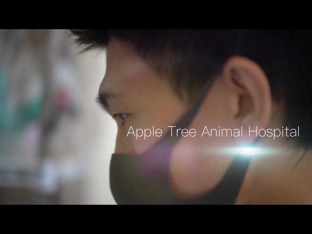 りんごの樹動物病院プロモーションMovie|りんごの樹動物病院