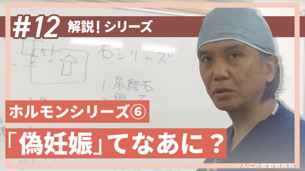 ♀のこの飼い主さん必見！「偽妊娠ってなあに？」|りんごの樹動物病院