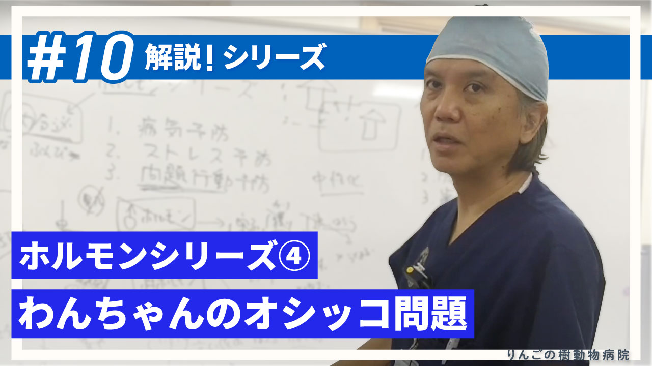 しつけが難しいマーキング「わんちゃんのオシッコ問題」|りんごの樹動物病院