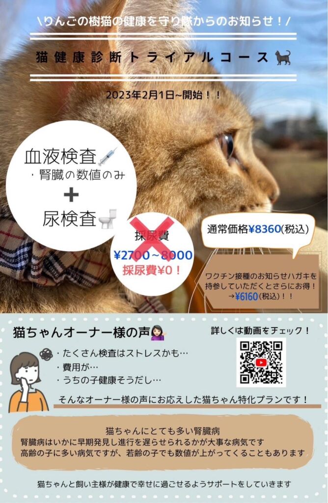 😺猫健康診断トライアルコース　価格変更のお知らせ|りんごの樹動物病院