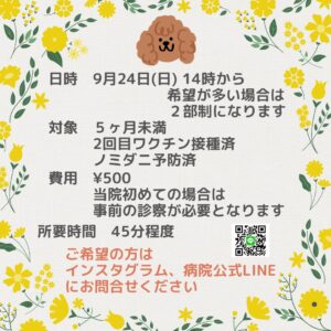 【イベント情報🐶🎈】 第2回‼︎パピーパーティ開催決定‼︎|りんごの樹動物病院