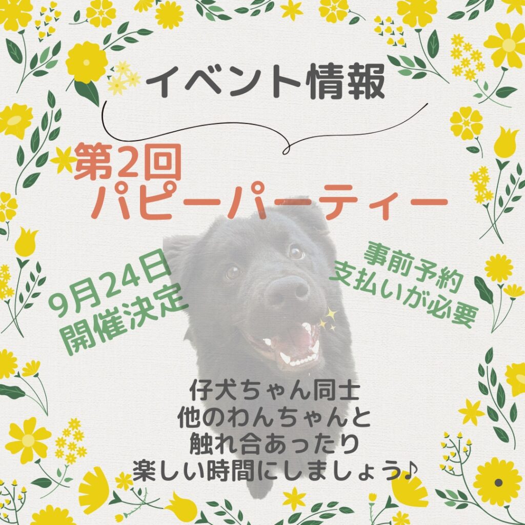 【イベント情報🐶🎈】 第2回‼︎パピーパーティ開催決定‼︎|りんごの樹動物病院