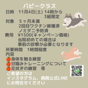 【イベント情報🐶🎈】 11月パピークラス、パピーパーティー開催|りんごの樹動物病院