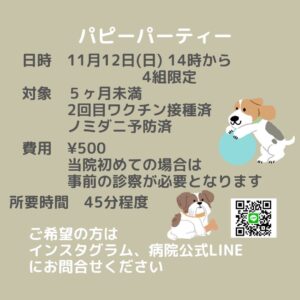 【イベント情報🐶🎈】 11月パピークラス、パピーパーティー開催|りんごの樹動物病院