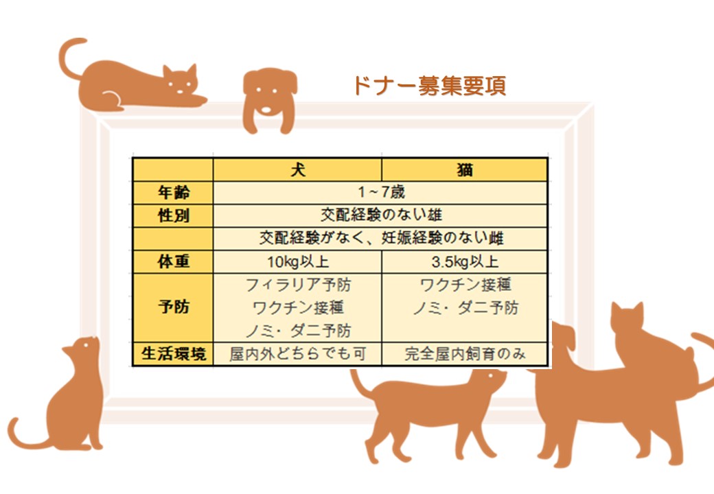 りんごの樹動物病院