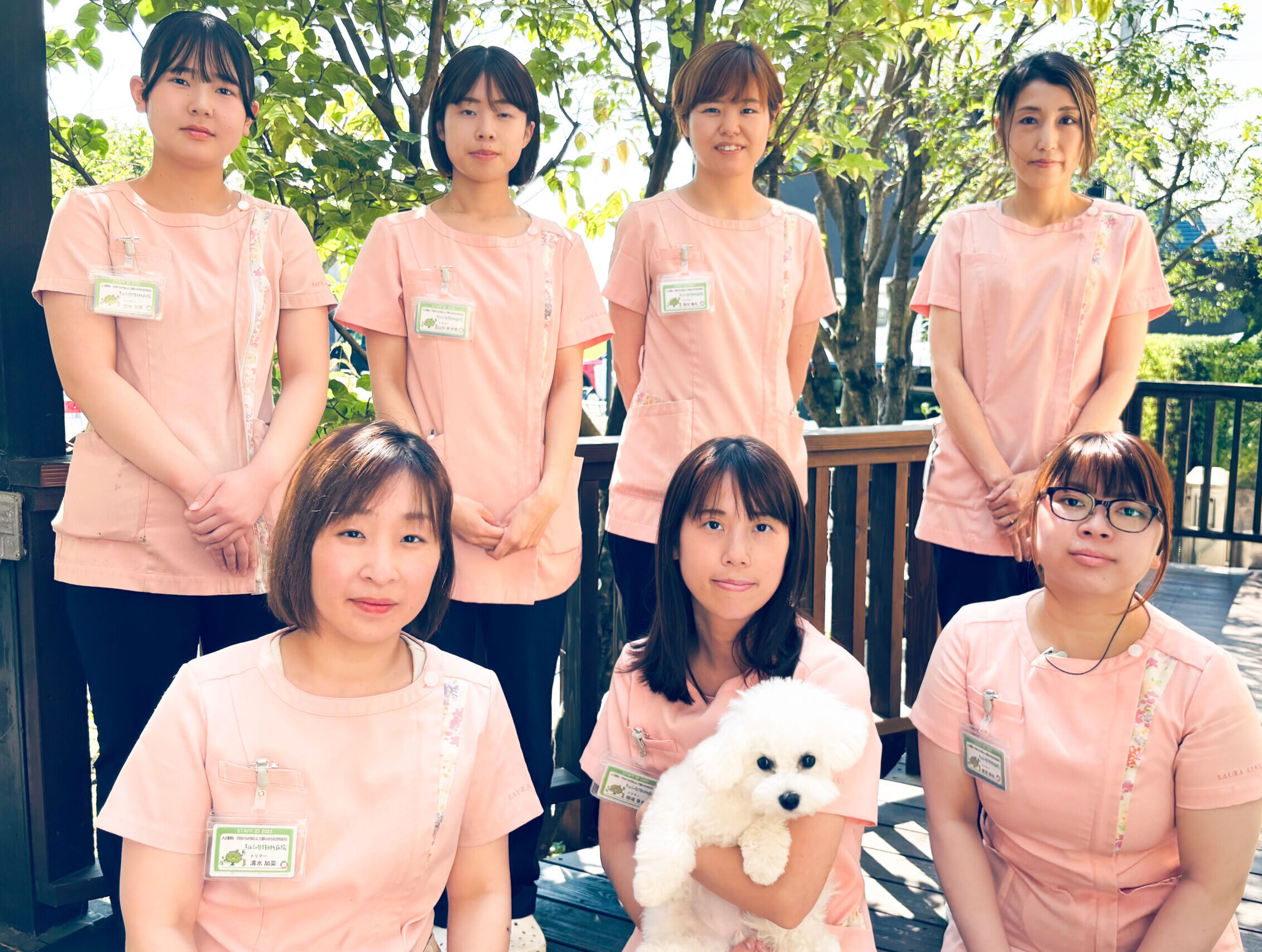 りんごの樹動物病院
