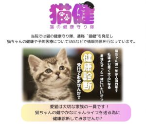 猫健診トライアルコースを受けてみませんか?|りんごの樹動物病院