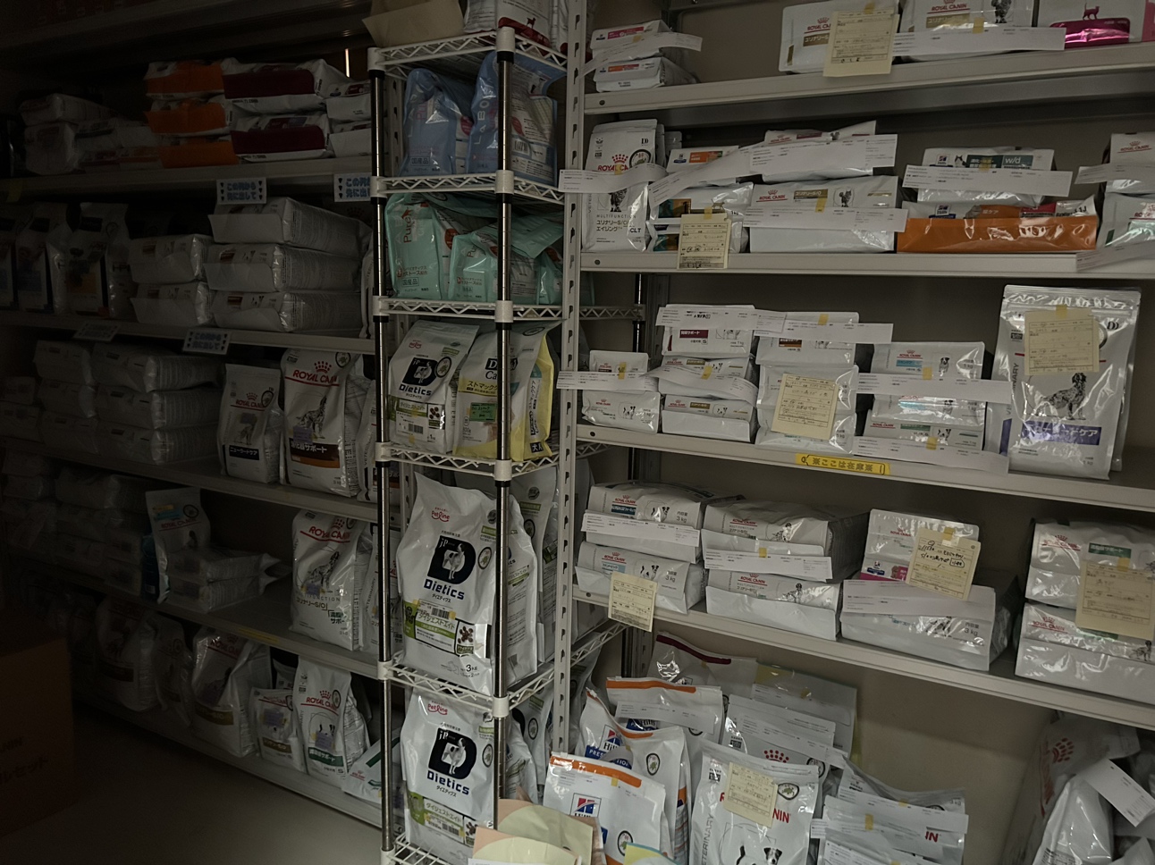 りんごの樹動物病院