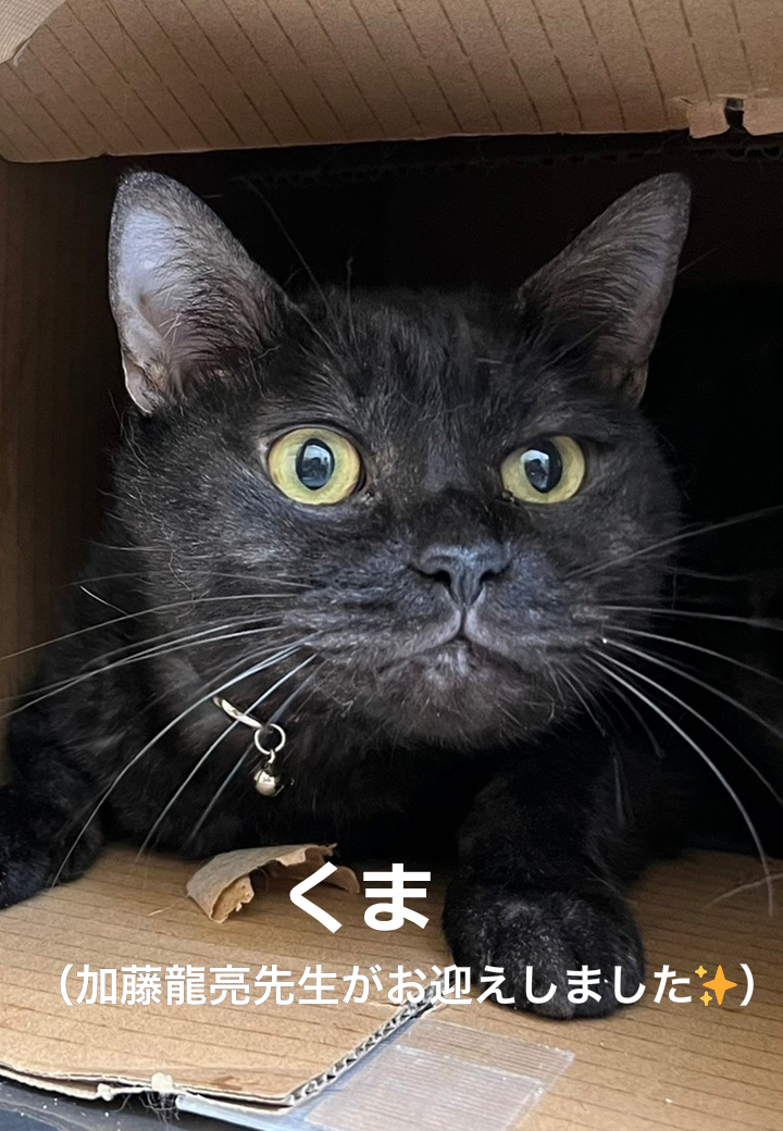 りんごの樹動物総合医療センター | 愛知県安城市の動物病院です