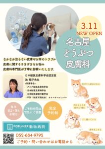 皮膚科特診が月2回に！分院のワンルーク動物病院でも受診できます|りんごの樹動物総合医療センター | 愛知県安城市の動物病院